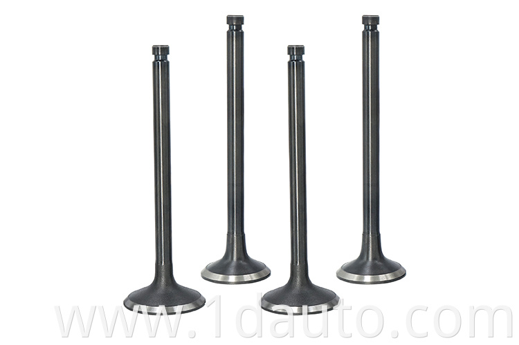 MITSUBISHI 4D35 Engine Valves 